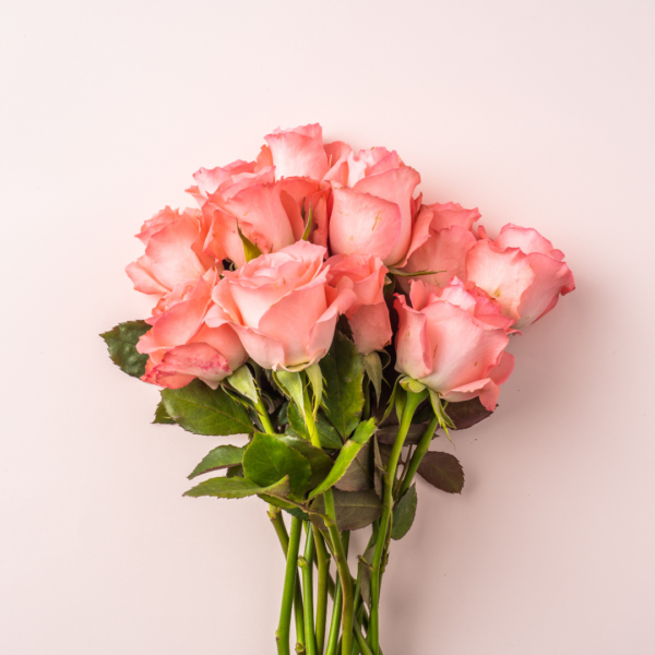 Elegant Pink Roses Bouquet: A Symbol of Grace and Beauty