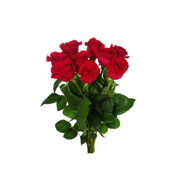 Heartfelt Red Roses: A Bouquet of Love