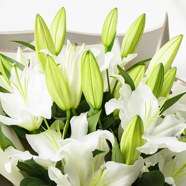 Beautiful Lilies: Elegance in Every Petal Bouquet | Mesmerizing White Lily Arrangement