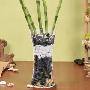 Elegant Spiral Lucky Bamboo in Decorative Glass Vase