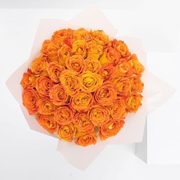 50 Orange Roses: Happy Birthday Elegance in Bloom