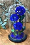 Forever Rose Blue - 3 Flowers