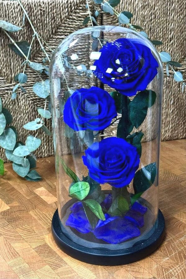 Forever Rose Blue - 3 Flowers