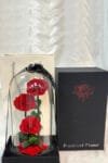 Forever Rose Red - 3 Flowers
