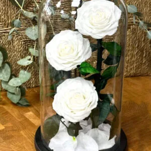 Forever Rose White - 3 Flowers