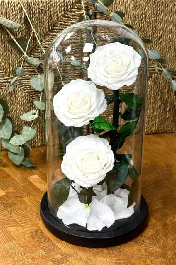Forever Rose White - 3 Flowers