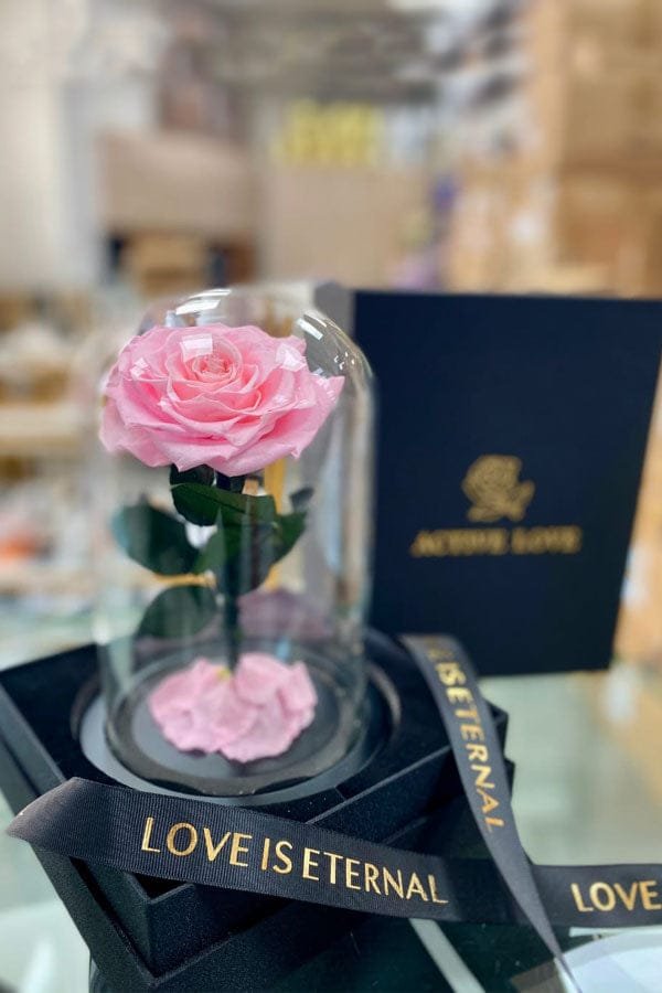 Forever Rose Baby Pink - Single Flower