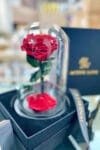 Forever Rose Red  - Single Flower