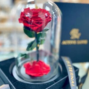 Forever Rose Red - Single Flower