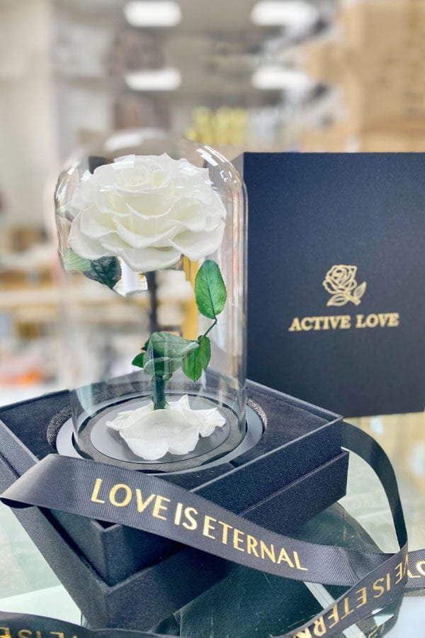 Forever Rose White - Single Flower