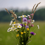 outdoor flowering plants
