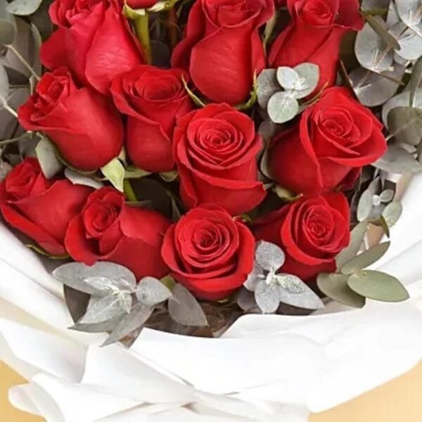 Million Smiles: 15 Red Roses, Pure Delight