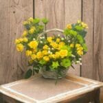Sunny Basket: Classic Basket Arrangement with Yellow Roses, Green Chrysanthemums & Hypericum