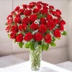 Bunch of 50 Scarlet Roses