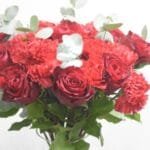 Red Promise: Classic Red Rose and Carnation Bouquet in Cylinder Vase