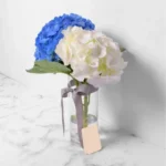 Cloud and Sky Elegance: Blooms in Cylinder Vase - Blue Hydrangea, White Hydrangea