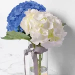 Cloud and Sky Elegance: Blooms in Cylinder Vase - Blue Hydrangea, White Hydrangea
