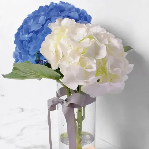 Cloud and Sky Elegance: Blooms in Cylinder Vase - Blue Hydrangea, White Hydrangea