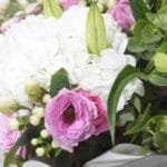 Delicate Pink & White Elegance Bouquet: White Lilies, Pink Roses, Hydrangea, Lisianthus, Hypericum | White Wrap, Pink Ribbon