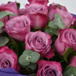 Eternal Beauty: Bouquet of 20 Purple Roses