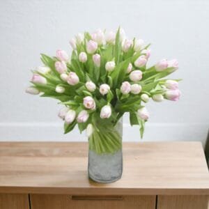 Tulips Garden Blooms: 50 Fresh Tulips in Cylinder Glass Vase | Classic Vase Arrangement