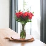Red Promise: Classic Red Rose and Carnation Bouquet in Cylinder Vase