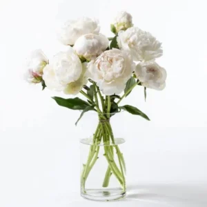 Freeze Elegance: Ten White Peonies in Glass Vase - Elegant Floral Arrangement