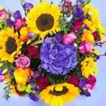 Radiant Sunshine Basket | Lush Sunflowers, Hydrangeas & Roses Arrangement