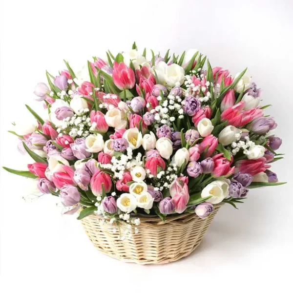 Magnificent Tulips: 201 Mix Color Tulips in Large Handle Basket