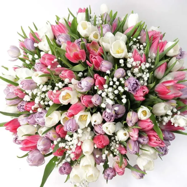 Magnificent Tulips: 201 Mix Color Tulips in Large Handle Basket