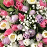 Magnificent Tulips: 201 Mix Color Tulips in Large Handle Basket