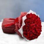 Majestic Rose