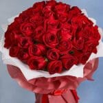Majestic Rose