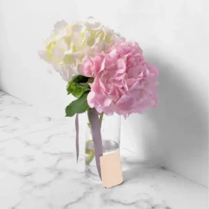 Make Me Blush: Blooms in Glass Vase - White Hydrangea, Pink Hydrangea