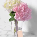 Make Me Blush: Blooms in Glass Vase - White Hydrangea, Pink Hydrangea
