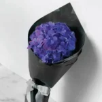 Midnight Gesture Bouquet: Blue Hydrangea | Black Wrap, Ribbon Bow