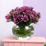 Purple Peruvian Lily Arrangement