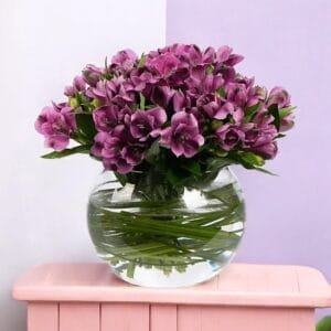 Purple Peruvian Lily Arrangement