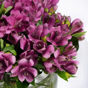 purple-peruvian-lily-arrangement_3.webp