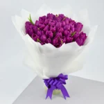 Purple Tulip Grandeur: Elegance in Every Bloom