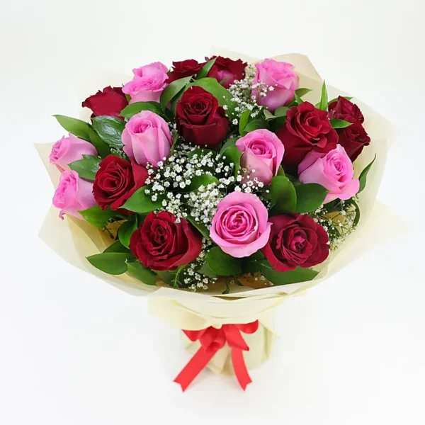 Pink and Red Harmony: Bouquet of 20 Roses