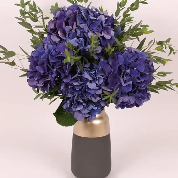 Twilight Hydrangea Premium Arrangement in Ceramic Glass Vase: 4 Dark Blue Hydrangeas with Parvifolia Leaves