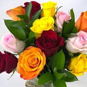 whatsapp-image-2024-09-16-at-09.56-photoroom-3.jpg
