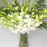 Elegant White Dendrobium Orchids with Leather Leaves in Cylinder Vase ? Sophisticated Floral Arrangement