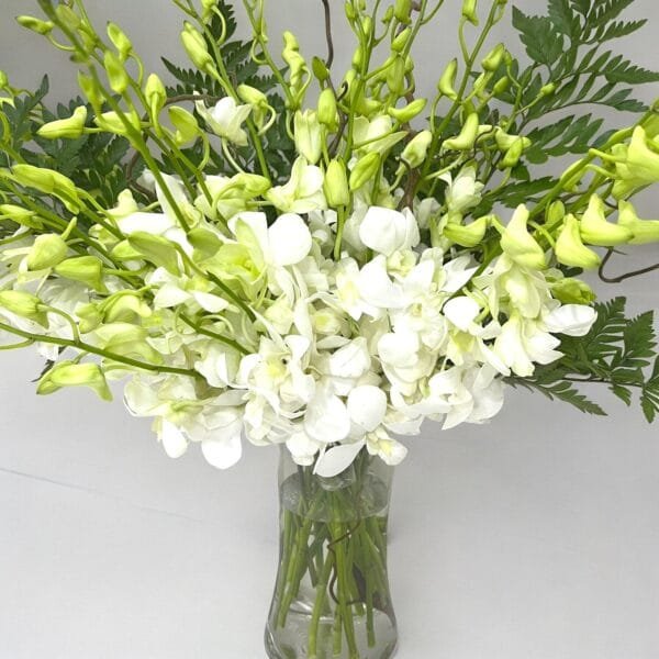 Elegant White Dendrobium Orchids with Leather Leaves in Cylinder Vase ? Sophisticated Floral Arrangement