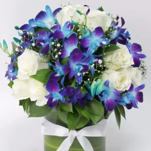 wishes-to-gentelman_2.webp